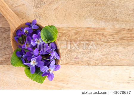 Fresh violet flowers on a wooden spoon 48078687