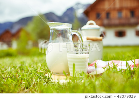 dish of milk standing on the grass 48079029
