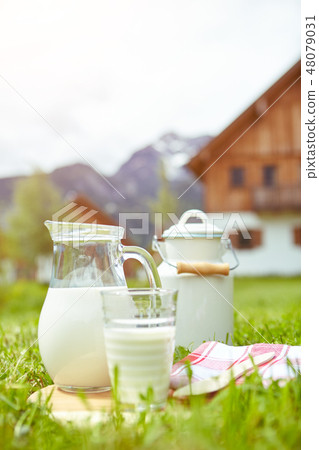 dish of milk standing on the grass 48079031