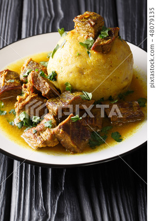 Delicious latino American Mofongo from bananas 48079135