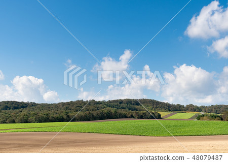 Biei · hill landscape / summer Hokkaido sightseeing image Biei · hill landscape / summer Hokkaido sightseeing image 48079487