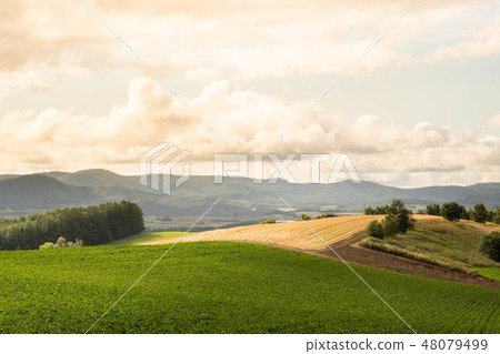 美瑛·山景觀/夏天北海道觀光圖像 美瑛·山景觀/夏天北海道觀光圖像 48079499
