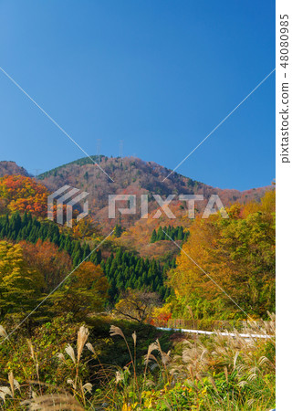 Mikutsan及其周邊地區的風景（2018年11月） 48080985