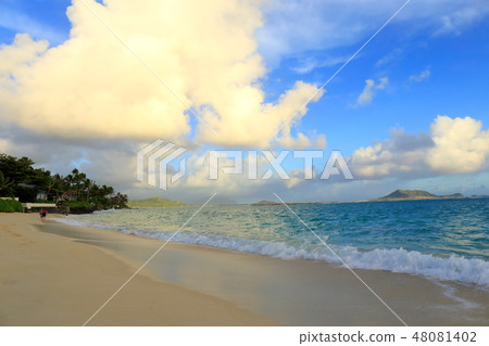 夏威夷瓦胡島拉尼凱海灘 夏威夷瓦胡島拉尼凱海灘 48081402