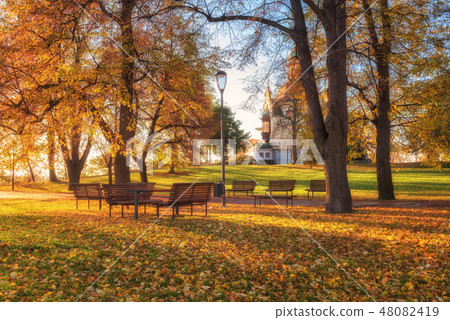 Autumn in Prague, Letna park, Czech Republic 48082419