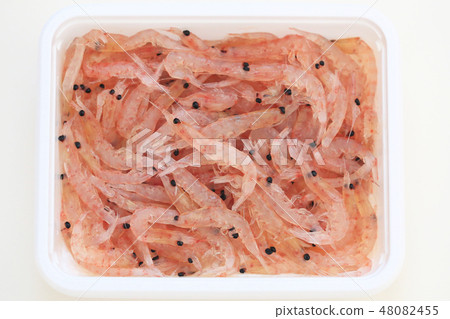 Krill (fishing bait) 48082455