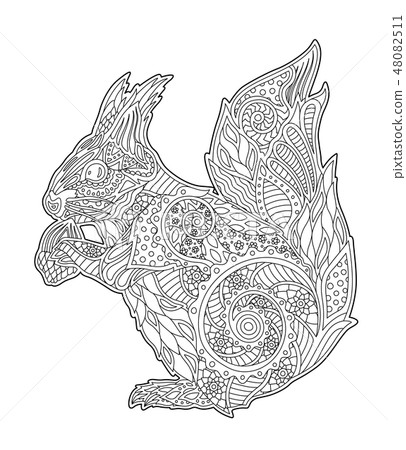 Adult coloring book page with beautiful squirrel Adult coloring book page with beautiful squirrel 48082511
