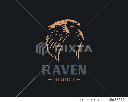 The raven flaps its big wings. The raven flaps its big wings. 48082512