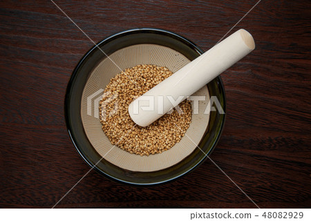 砂漿杵樹 砂漿杵樹 48082929