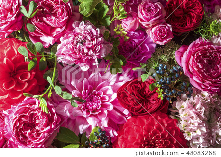 美麗的快樂花束 48083268