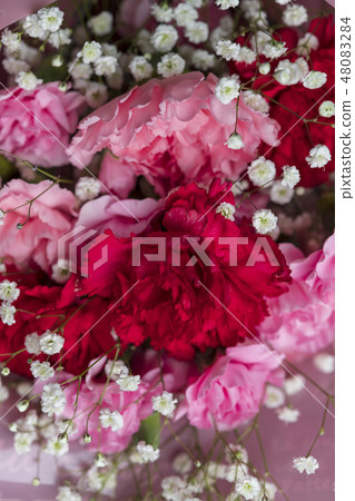 美麗的快樂花束 美麗的快樂花束 48083284