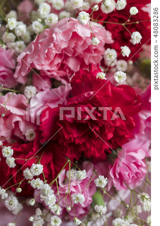 美麗的快樂花束 美麗的快樂花束 48083286