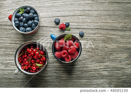Berries Berries 48085230