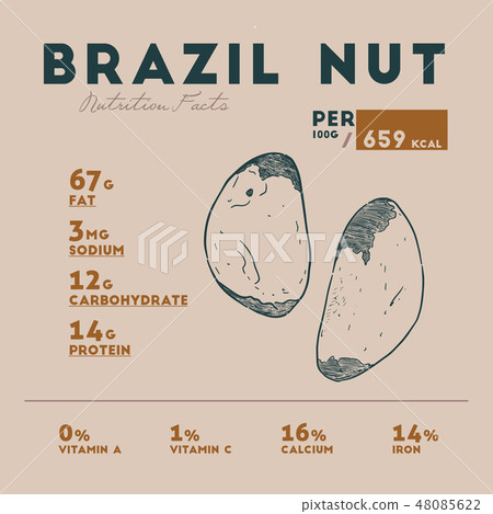Nutrition fact of Brazil nut. 48085622