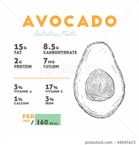 Nutrition facts of avocado, hand draw vector. Nutrition facts of avocado, hand draw vector. 48085625