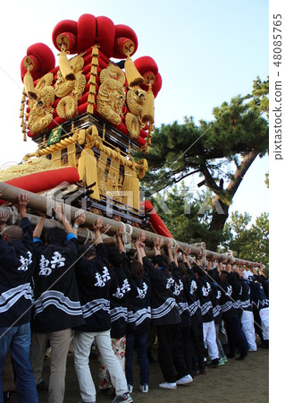 Turtle table scall 48085765