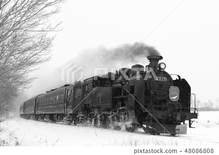 SL冬季濕地 48086808