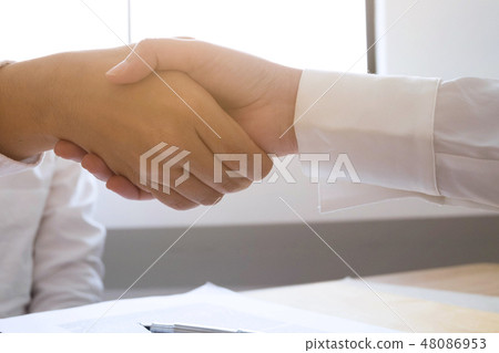Lawyer people shaking hands with client. Lawyer people shaking hands with client. 48086953