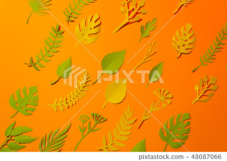 Tropical and palm leaves in vibrant bold gradient Tropical and palm leaves in vibrant bold gradient 48087066