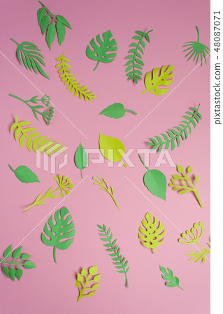 Tropical and palm leaves in vibrant bold  48087071