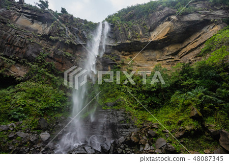 Waterfall of Iriomote Island · Pinaisala Waterfall of Iriomote Island · Pinaisala 48087345