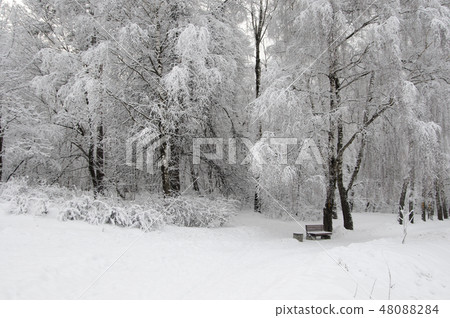 Winter landscape with a park 48088284