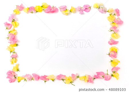 花框架框架的美麗的花 48089103