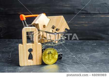 A supermarket cart with houses and bitcoin A supermarket cart with houses and bitcoin 48090969