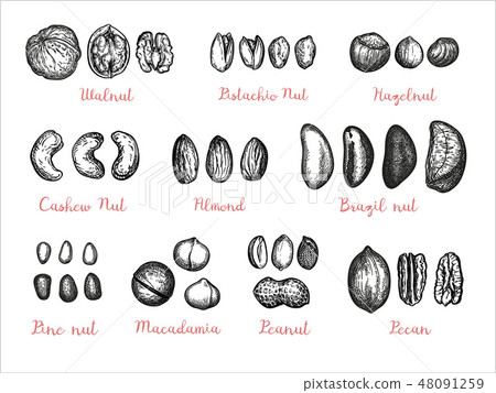 Nuts big set. 48091259