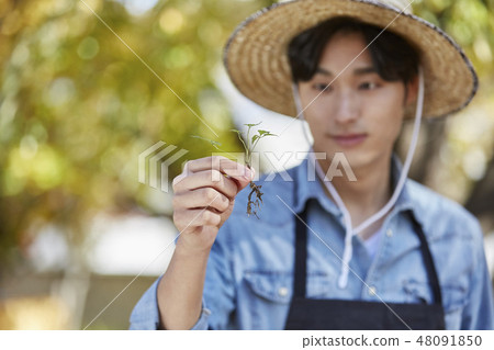 Agriculture, farmer, farming, countryside, youth, organic, plant, growth 48091850