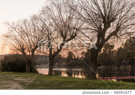 The retention system implanted for common water hyacinth, camalote in the Guadiana river The retention system implanted for common water hyacinth, camalote in the Guadiana river 48091877