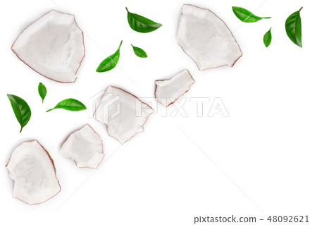 piece of coconut with leaves isolated on white background with copy space for your text. Top view 48092621