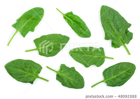 fresh spinach isolated on white background. Top view. Flat lay 48092888