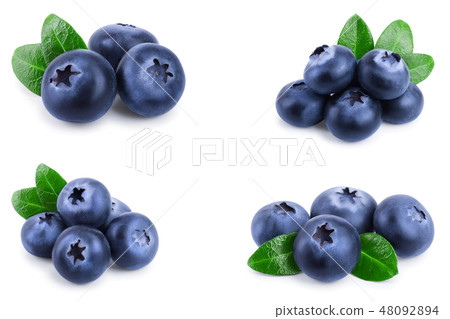 fresh blueberry with leaves isolated on white background closeup. Set or collection fresh blueberry with leaves isolated on white background closeup. Set or collection 48092894