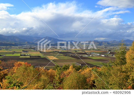 [Fixed amount] Furano desired from the Heart Hill Park Observatory (October / Furano City, Hokkaido) 48092906