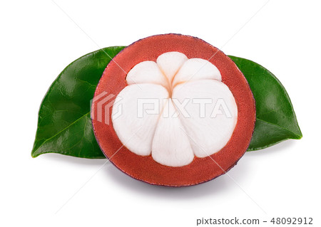 ripe mangosteen with leaves isolated on white background closeup ripe mangosteen with leaves isolated on white background closeup 48092912