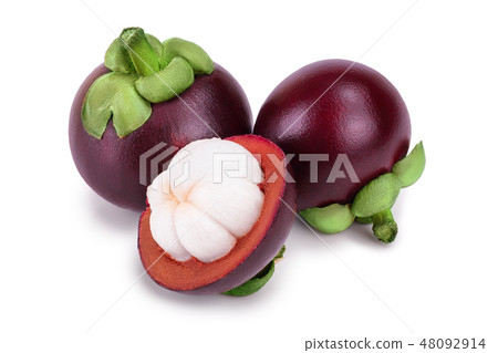 ripe mangosteen isolated on white background closeup ripe mangosteen isolated on white background closeup 48092914