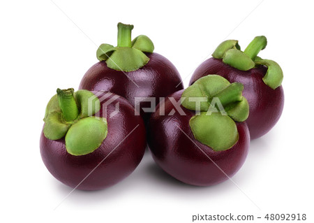 ripe mangosteen isolated on white background closeup ripe mangosteen isolated on white background closeup 48092918