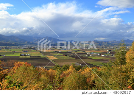 Autumn Furano from October / Heart Hill Park Observatory (October / Furano City, Hokkaido) 48092937