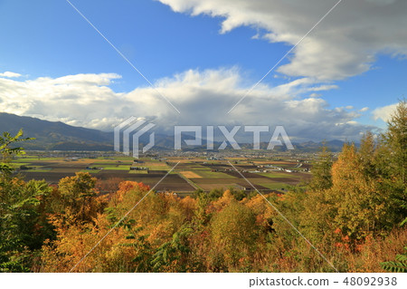 Autumn Furano from October / Heart Hill Park Observatory (October / Furano City, Hokkaido) 48092938