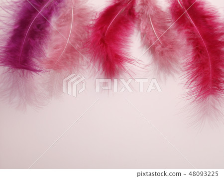 Red feathers border for Fastelavn Red feathers border for Fastelavn 48093225