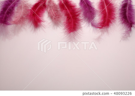 Red feathers border for Fastelavn Red feathers border for Fastelavn 48093226