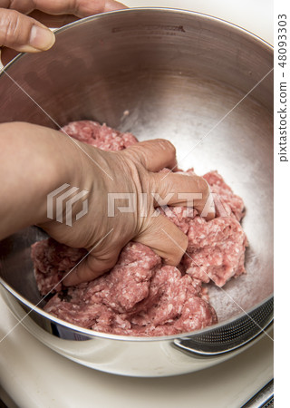 [Hamburg preparation] 48093303