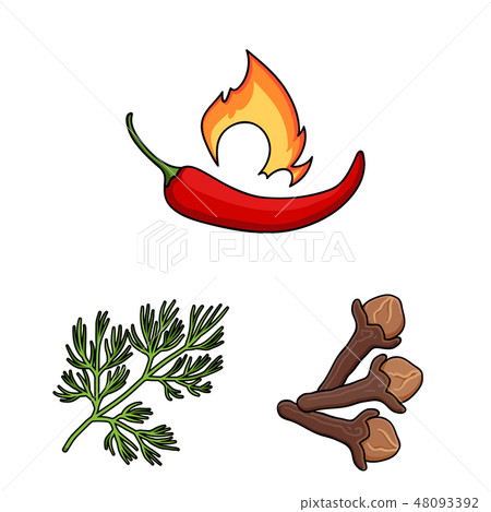 Herb and spices cartoon icons in set collection for design.Different kinds of seasonings vector Herb and spices cartoon icons in set collection for design.Different kinds of seasonings vector 48093392