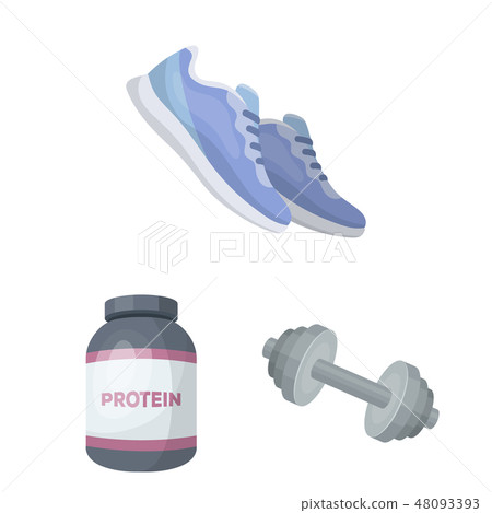 Gym and training cartoon icons in set collection for design. Gym and equipment vector symbol stock Gym and training cartoon icons in set collection for design. Gym and equipment vector symbol stock 48093393