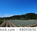Field of Ondone 48093656