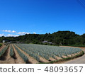 Field of Ondone 48093657