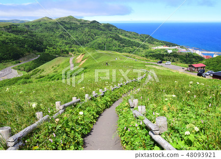 禮文島桃谷天文台 48093921