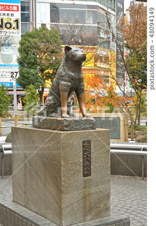 Shibuya walk: Tadayuki Hachiko 48094149