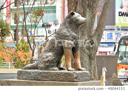Shibuya walk: Tadayuki Hachiko 48094151